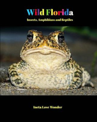 https://scientificbooks.net/sb/HgWefuX1a7uM2XkUta.jpeg