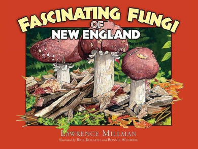 https://scientificbooks.net/sb/HqbKSfCxoUd9dB1nW4.jpeg