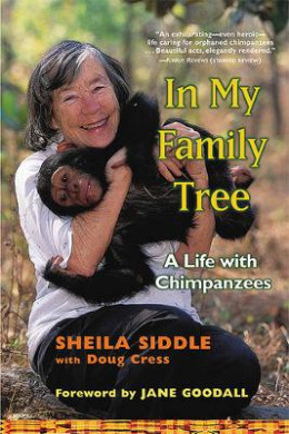 https://scientificbooks.net/sb/I8MAwBopAfzMZbUFnm.jpeg