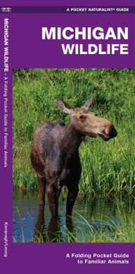 https://scientificbooks.net/sb/IAYcAvcjuCBjn6uH6b.jpeg