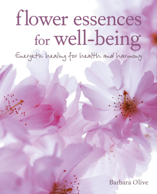 https://scientificbooks.net/sb/ICDTVhbXmziAuW4t6j.jpeg