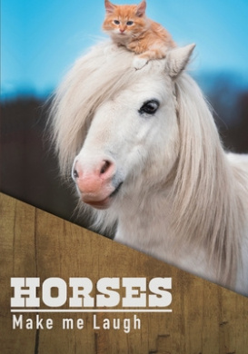 https://scientificbooks.net/sb/IIeFxApOJNLXCm910x.jpeg