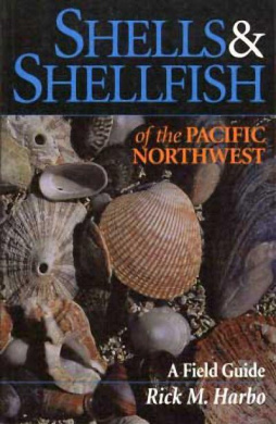 https://scientificbooks.net/sb/IKU5hxK7VdUByz1H9g.jpeg