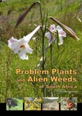 https://scientificbooks.net/sb/IKpEABI84ZVSSksZOL.jpeg
