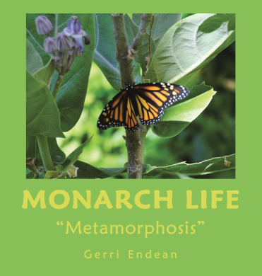 https://scientificbooks.net/sb/IMJLKhOpRUfABmqzCg.jpeg