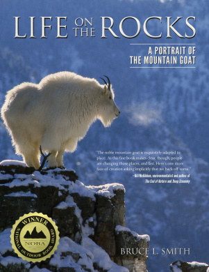https://scientificbooks.net/sb/INdeEzBybghlGlZR8I.jpeg