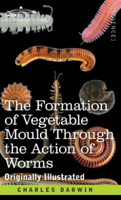 https://scientificbooks.net/sb/ISiV4NpNu3pOr2oXm5.jpeg