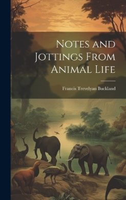 https://scientificbooks.net/sb/ITqVLYmffg2jJSM7a9.jpeg