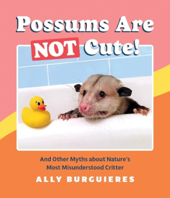 https://scientificbooks.net/sb/IXts3mfZDNrbka3Cef.jpeg