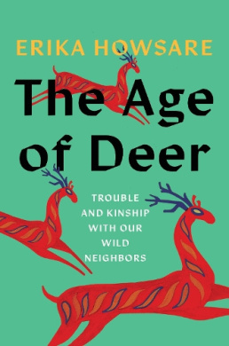 https://scientificbooks.net/sb/Idc65ebQNJ0KeNaP6G.jpeg