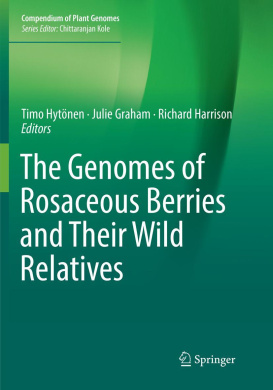 https://scientificbooks.net/sb/If9l24IkfItZbG6kLq.jpeg