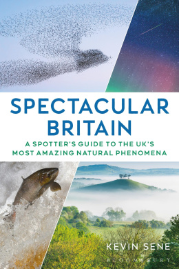 https://scientificbooks.net/sb/IfWtYx3Fh99cWviYn7.jpeg