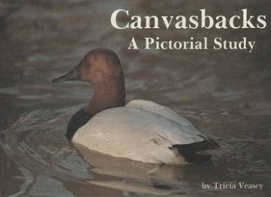 https://scientificbooks.net/sb/Ii881MykBo8XiqxzwD.jpeg