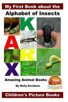 https://scientificbooks.net/sb/Ijv7O6wBHkqk8HFOAL.jpeg