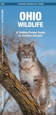 https://scientificbooks.net/sb/Itm5bXztPa8hs8WwGT.jpeg