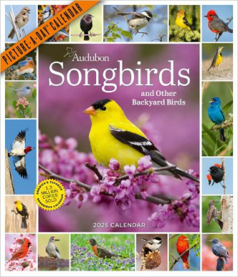 https://scientificbooks.net/sb/IxQxdgB26XZ72dOVkq.jpeg