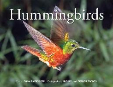 https://scientificbooks.net/sb/J24qjpY1jxHhA7pyDq.jpeg