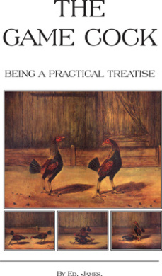 https://scientificbooks.net/sb/JFs4aW3Pj6Bj8blzcc.jpeg