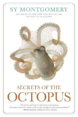 https://scientificbooks.net/sb/JggdbDUSqy9XPSPZyz.jpeg