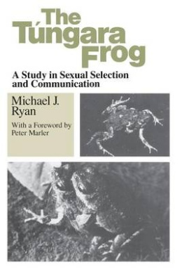 https://scientificbooks.net/sb/JhbfOjJsjK7ajXZm1h.jpeg