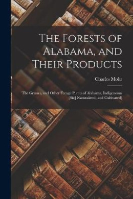 https://scientificbooks.net/sb/Jre35GFQTEhGKJ6ZwY.jpeg