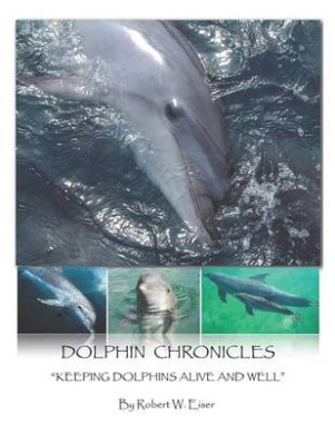 https://scientificbooks.net/sb/JwUNNlHFEjlam3Vlj9.jpeg