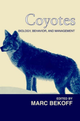 https://scientificbooks.net/sb/K5gR8rorIwzIxw8mko.jpeg