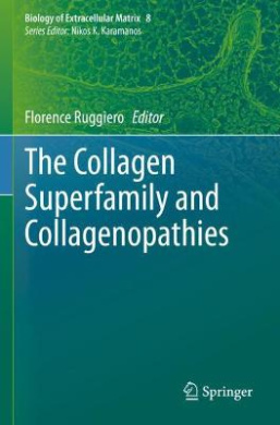 https://scientificbooks.net/sb/K6riwe9TLRFDAwoMLz.jpeg