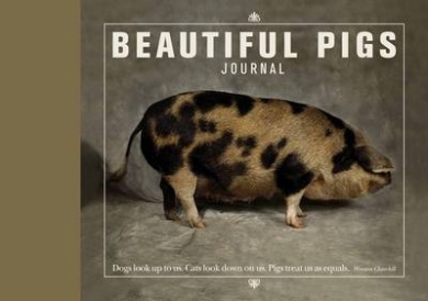 https://scientificbooks.net/sb/KGuzcrGMfAIHUWRL50.jpeg