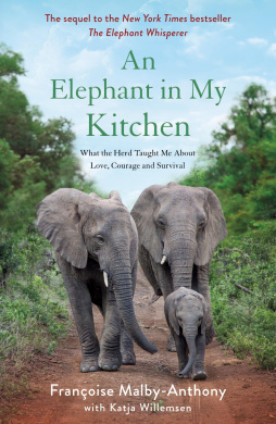 https://scientificbooks.net/sb/KQz6qFt6Y9iU6tjvqH.jpeg