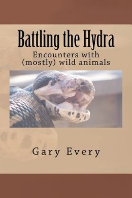 https://scientificbooks.net/sb/KU7m4osb6wUecT7zQM.jpeg