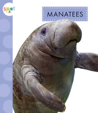 https://scientificbooks.net/sb/KXMtUkliKGO6uyf16R.jpeg