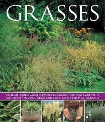 https://scientificbooks.net/sb/KhU1r0XJitnZ9bShvL.jpeg