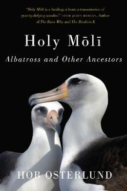 https://scientificbooks.net/sb/KtYhHjUuhC0y7JeCBW.jpeg