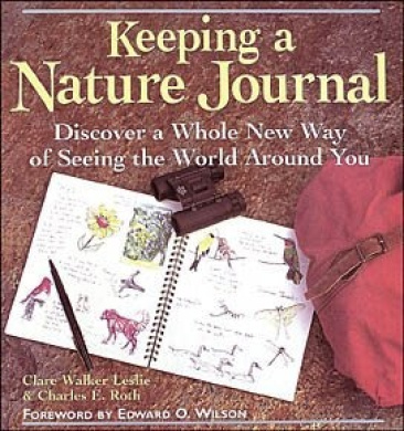 https://scientificbooks.net/sb/L1jjRrlpZzMdaZDXx9.jpeg