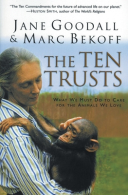 https://scientificbooks.net/sb/L8BNkFTgtIYfWVzByi.jpeg