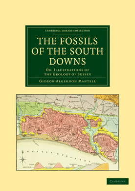 https://scientificbooks.net/sb/LKPoqcEET0v94quSQJ.jpeg