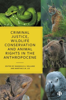 https://scientificbooks.net/sb/LP2nGVyI3XxQC9yVUr.jpeg