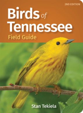 https://scientificbooks.net/sb/LkjpT6i0yWO6Wp7ubj.jpeg