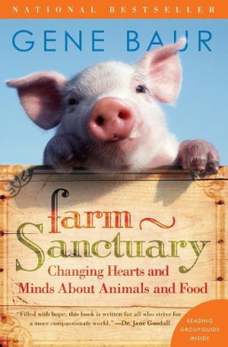 https://scientificbooks.net/sb/Lq84IMRXuRpY8hA8cX.jpeg