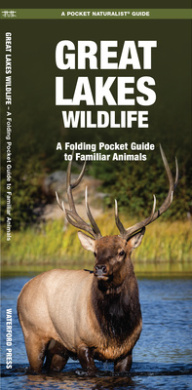 https://scientificbooks.net/sb/LrxrX1LMEuqR8BxcEM.jpeg
