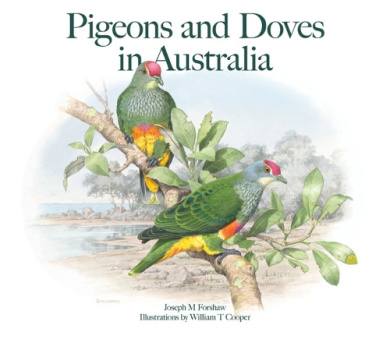 https://scientificbooks.net/sb/LtIQ1ldruEO8sbCOsC.jpeg