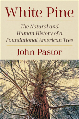 https://scientificbooks.net/sb/Lvk44bJTUiRqC9aOAx.jpeg