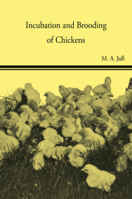 https://scientificbooks.net/sb/M0EjK0eOmhwjiMFM0p.jpeg
