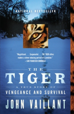 https://scientificbooks.net/sb/M1JSxHmroQQ8mgMBQP.jpeg