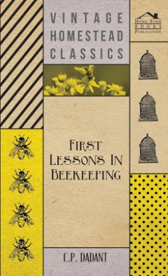 https://scientificbooks.net/sb/M1kgksJbude8XGO1Rm.jpeg