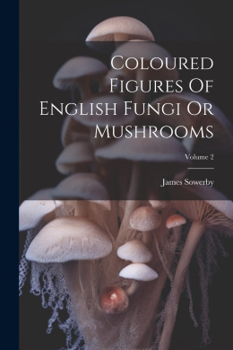 https://scientificbooks.net/sb/MAHnBX0KDvfR1lG5u0.jpeg