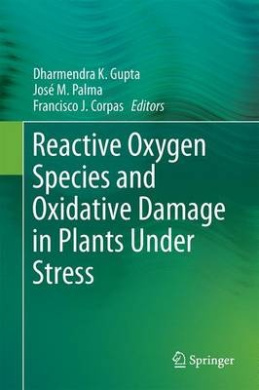 https://scientificbooks.net/sb/MFmig1JcnKXrAeXFcL.jpeg