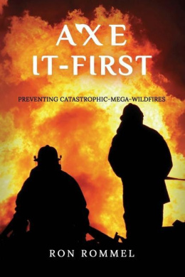 https://scientificbooks.net/sb/MGI5P573WB4AwJnUlT.jpeg