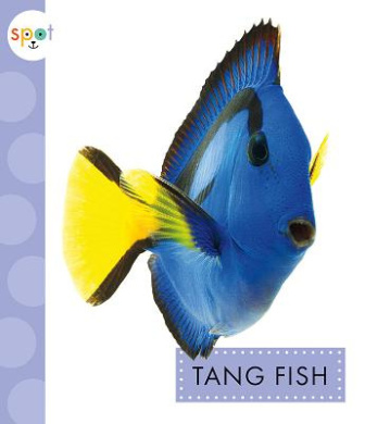 https://scientificbooks.net/sb/MP5N6Cf4stzsXxR6FS.jpeg